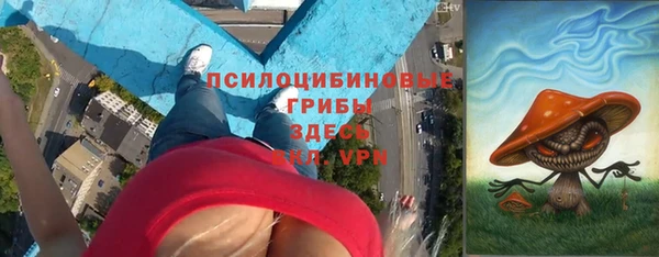 2c-b Новозыбков