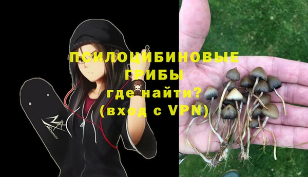 спайс Алзамай
