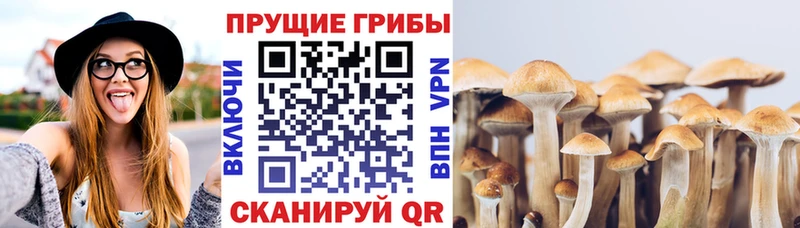 Псилоцибиновые грибы ЛСД  где найти наркотики  Ростов-на-Дону 